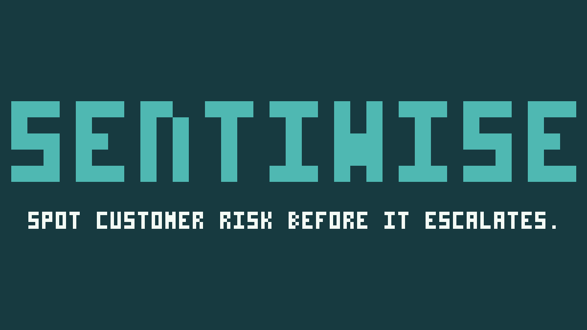 SentiWise placeholder card with the line Spot customer risk before it escalates
